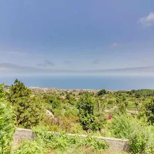 https://finca-chona-y-francisco.in-canary-islands.com
